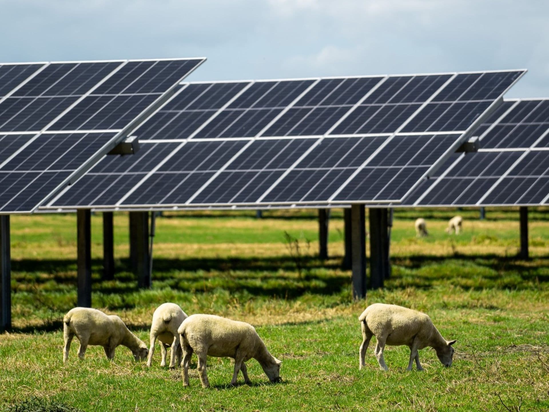 SolarPal monitoring dashboard